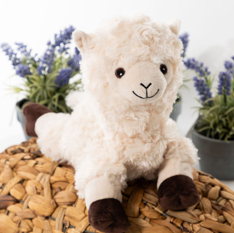 Alpackan Alice, tvättbar från Habibi Plush (micronalle) säljs på Nalleriet.se