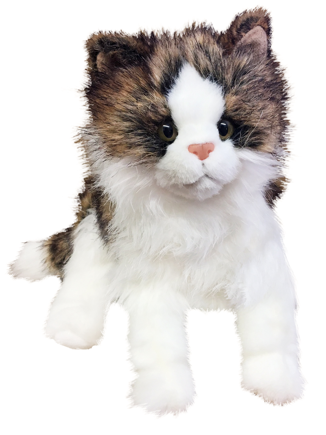 Katt Exotic, 40cm från Douglas Mjukisdjur säljs på Nalleriet.se