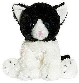 Kattkompisar från Teddykompaniet