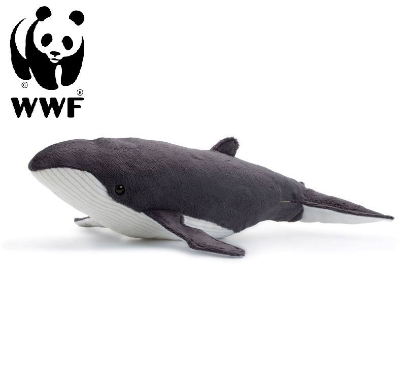 Knölval - WWF