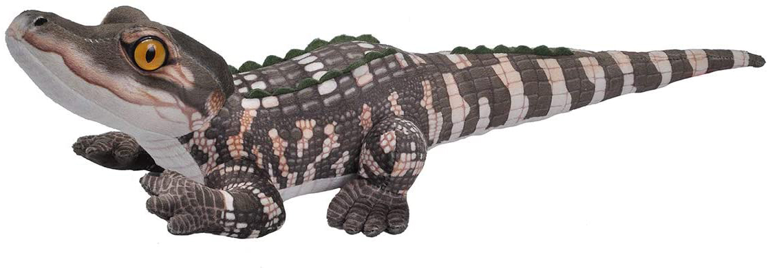Jumbo Alligator, 76cm, från Wild Republic