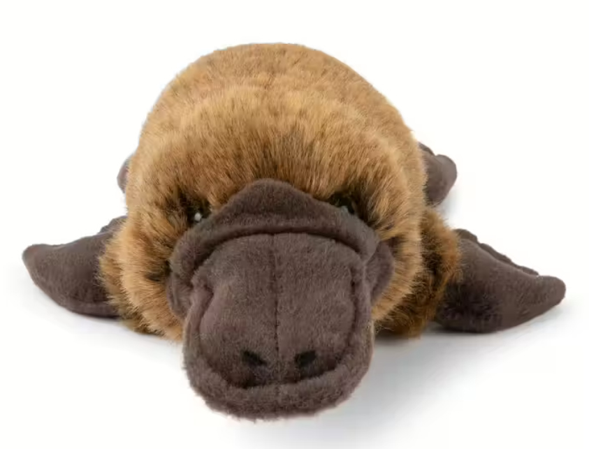 Näbbdjur - WWF (Världsnaturfonden)