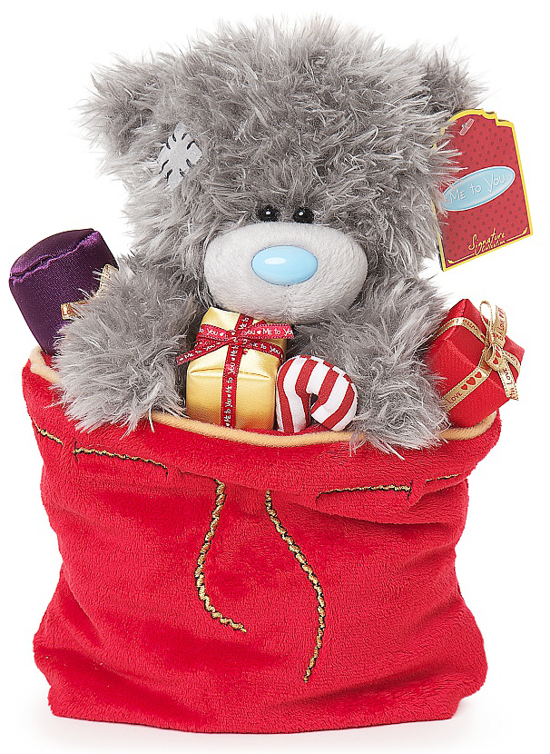 Nalle i julklappssck, 20cm - Me to You