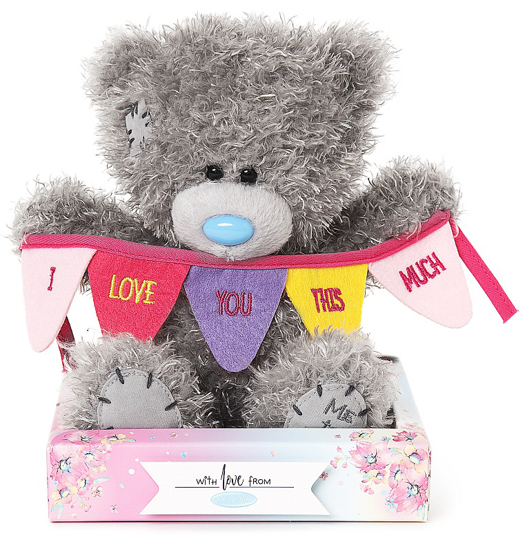 Nalle I love you this much på färgglad banner, 15cm - Me To You