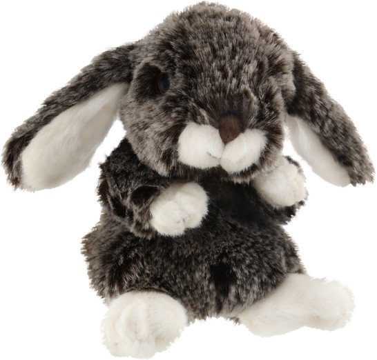 Kanini Coniglietto Peluche Beige 15 Cm – Bukowski Design, Morbido Con Certificato Di Nascita, 6+ Mesi - 4