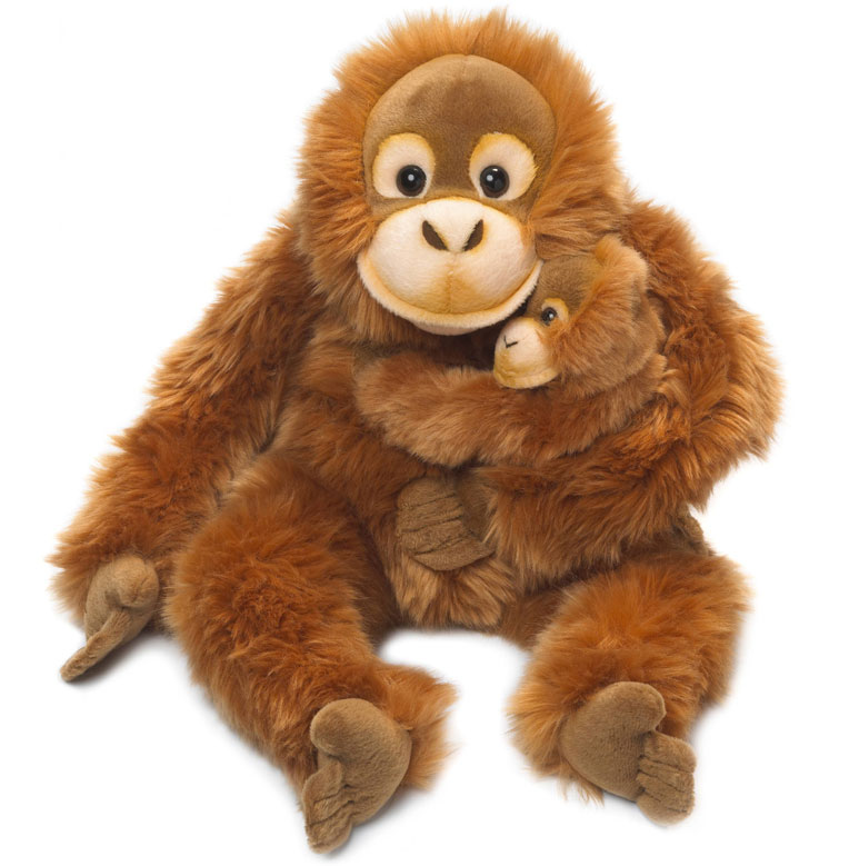 Orangutang med baby - WWF (Vrldsnaturfonden)