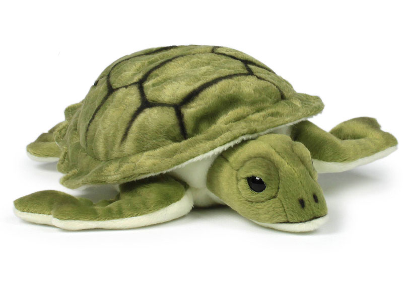 Sköldpadda - WWF (Världsnaturfonden)