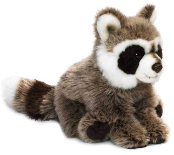 Tvättbjörn - WWF