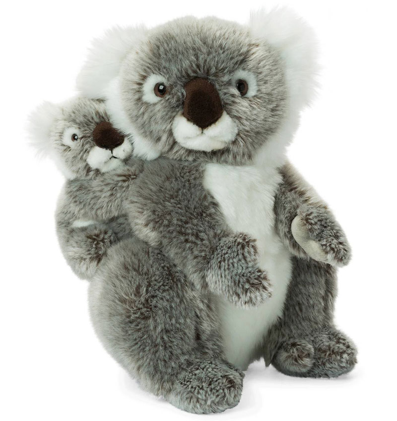 Koala med baby - WWF (Världsnaturfonden)