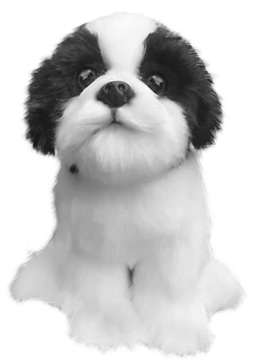 Shih Tzu Svart och vit från Faithful Friends mjukisdjur säljs på Nalleriet.se