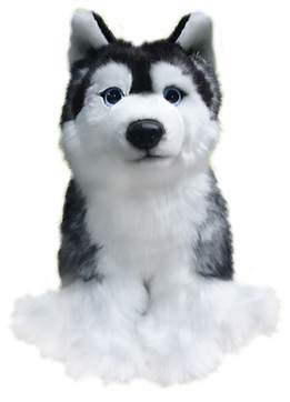 Siberian Husky - Faithful Friends