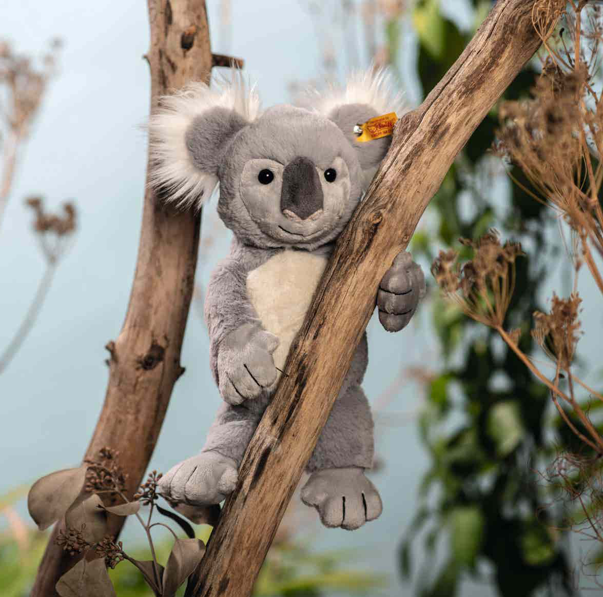 Koalan Nils, Soft Cuddly Friends från Steiff säljs på Nalleriet.se