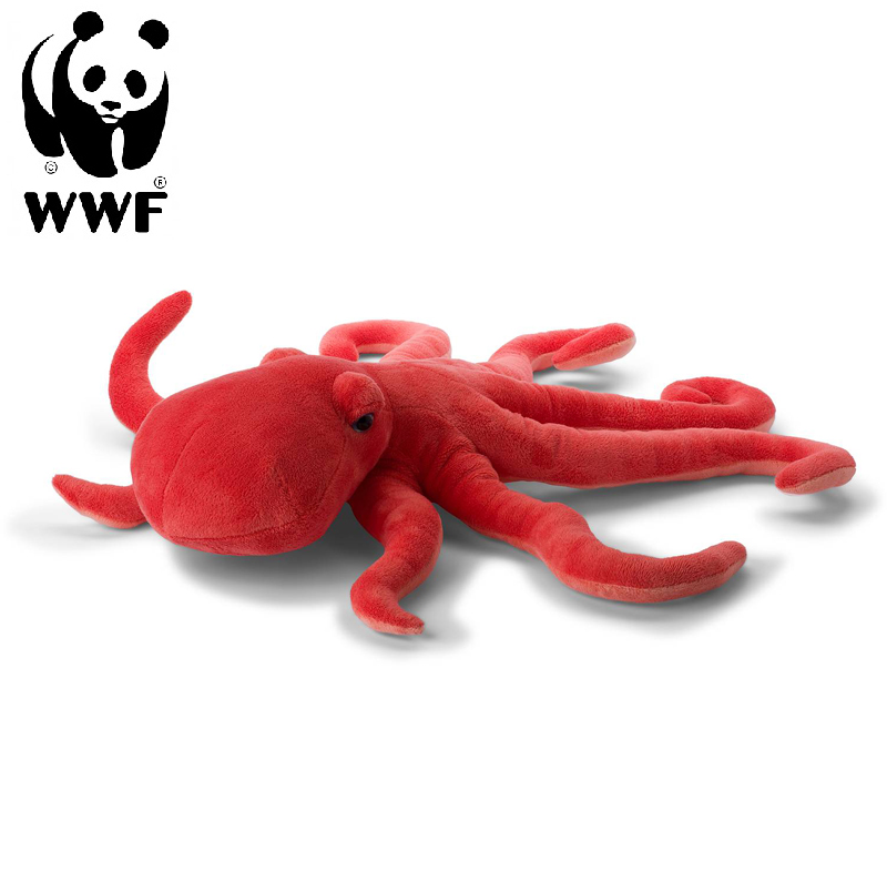 Stor Bläckfisk - WWF (Världsnaturfonden)