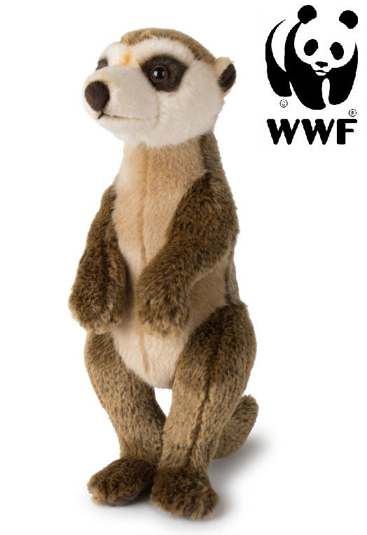 Surikat - WWF