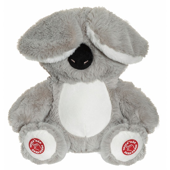 Titt ut Koala med ljud från Teddykompaniet