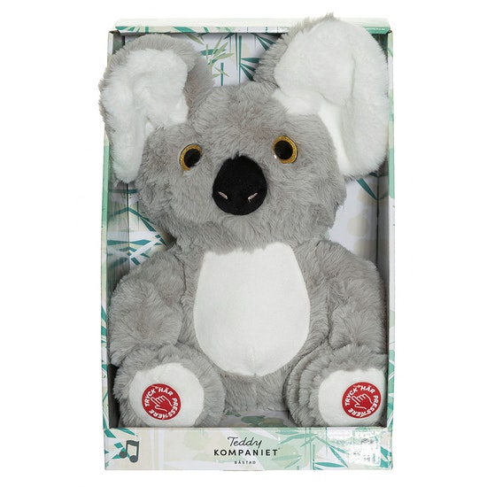 Titt ut Koala med ljud från Teddykompaniet