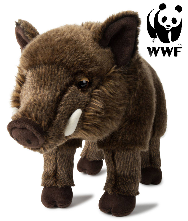 Vildsvin - WWF