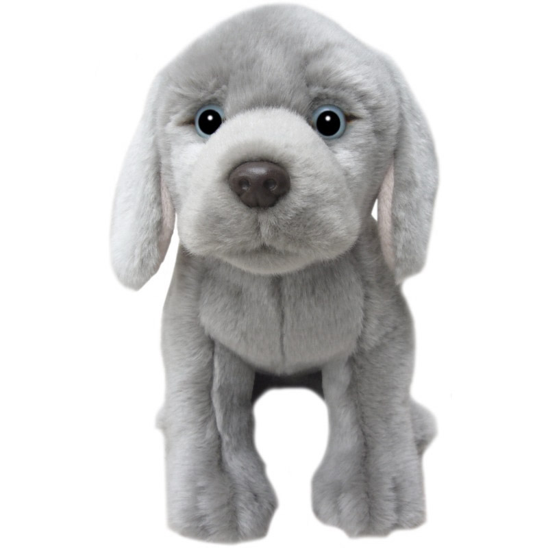 Weimaraner - Faithful Friends