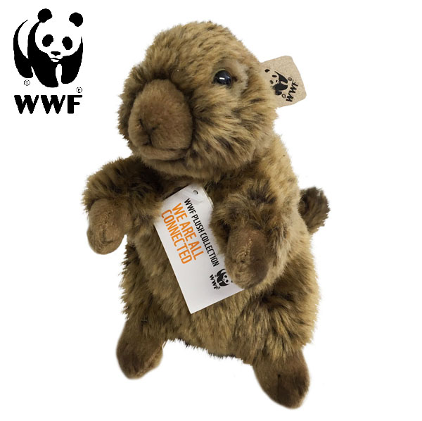 Bver - WWF (Vrldsnaturfonden)