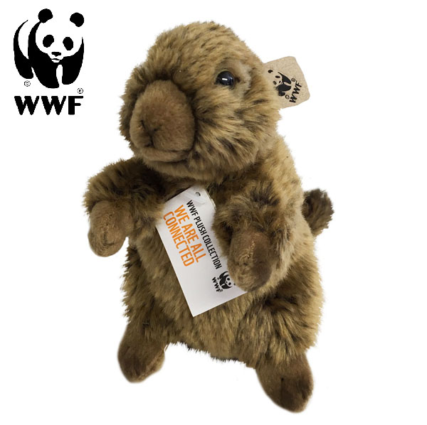 Bäver - WWF (Världsnaturfonden)
