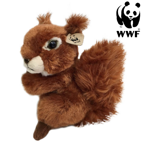 Ekorre - WWF (Vrldsnaturfonden)