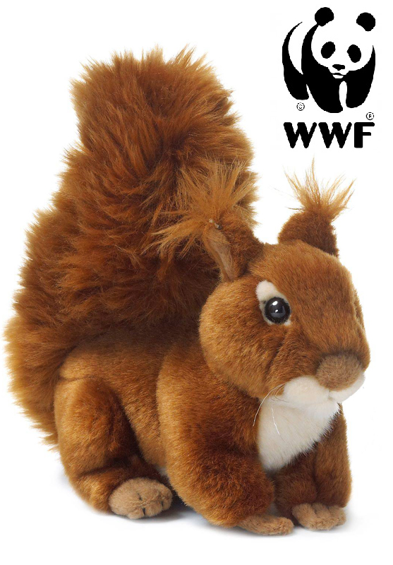 Ekorre - WWF (Världsnaturfonden)