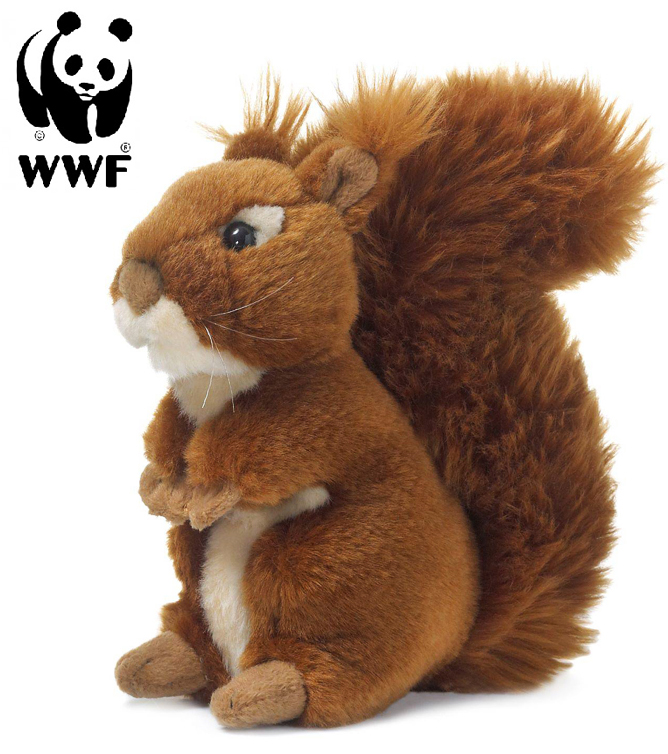 Ekorre - WWF (Världsnaturfonden)
