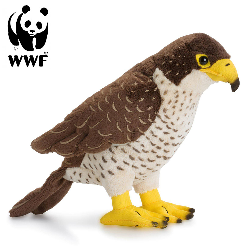 Falk - WWF (Världsnaturfonden)