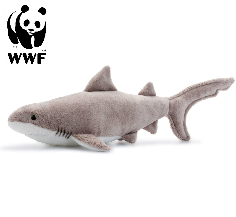 Vithaj - WWF (Världsnaturfonden)