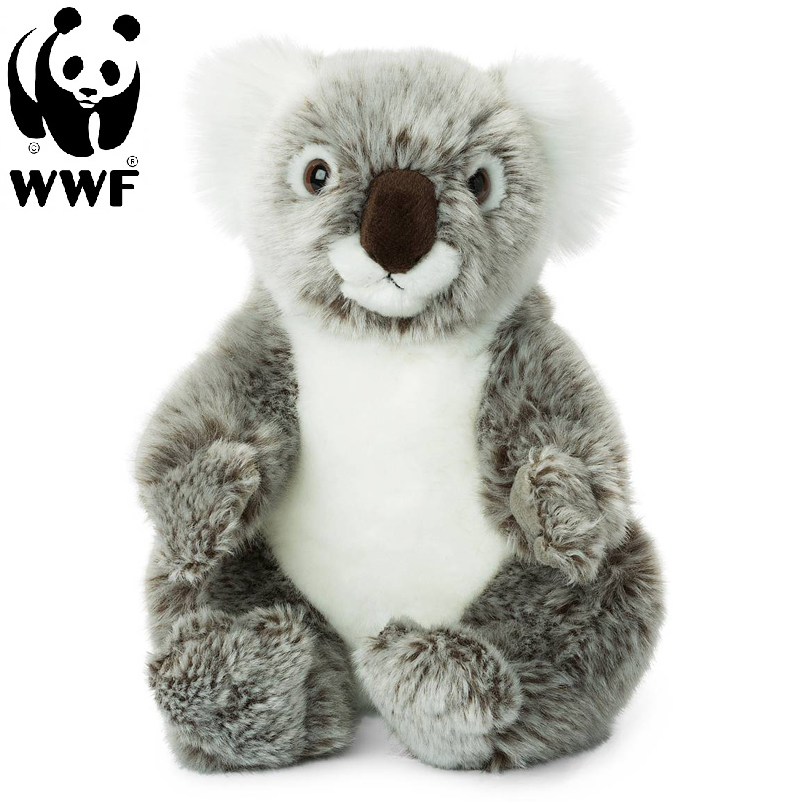 Koala - WWF