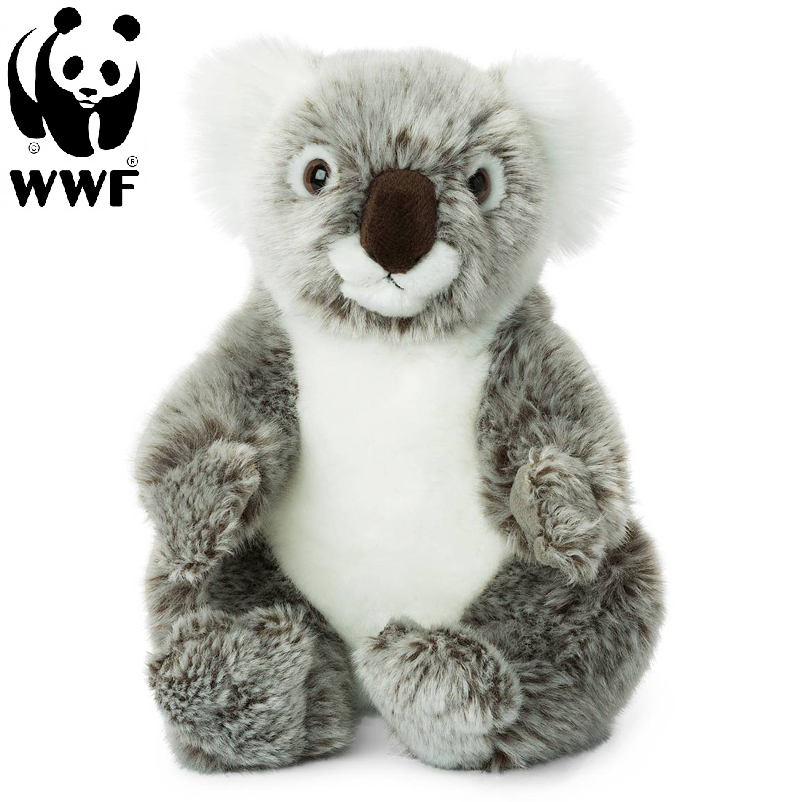 Koala - WWF (Vrldsnaturfonden)