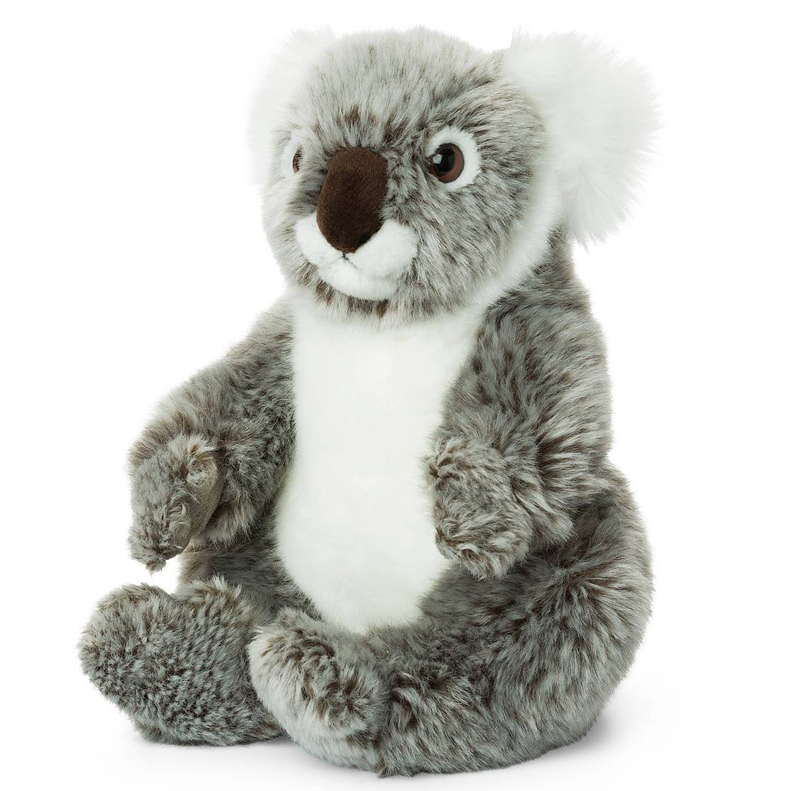 Koala - WWF (Vrldsnaturfonden)