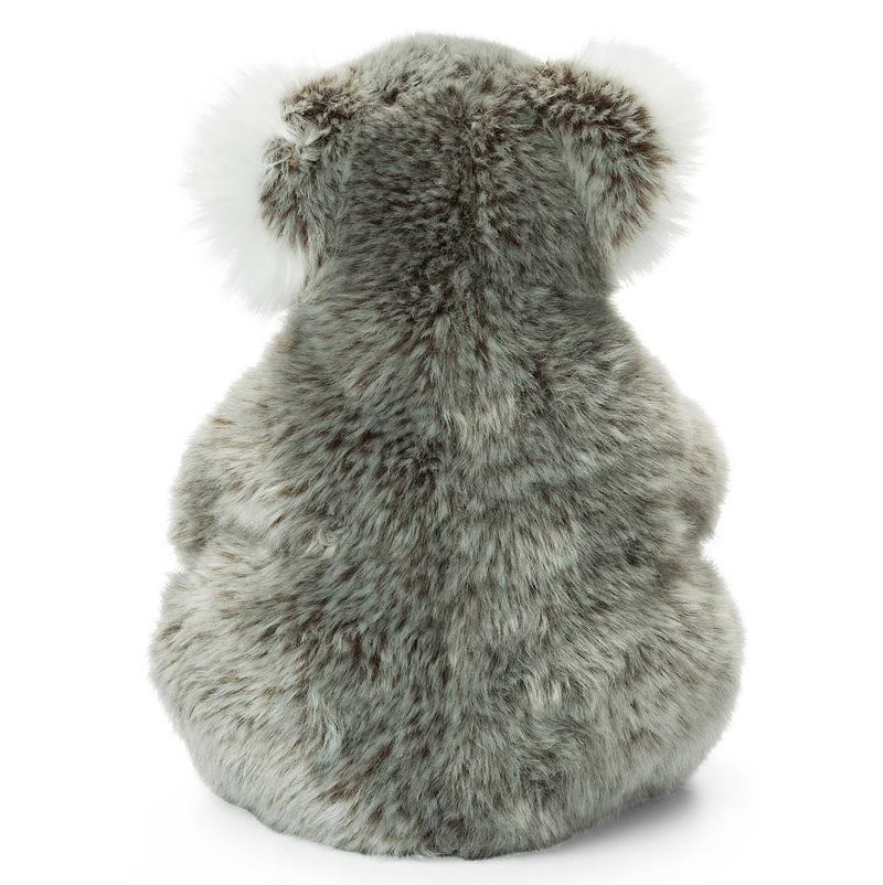 Koala - WWF (Världsnaturfonden)