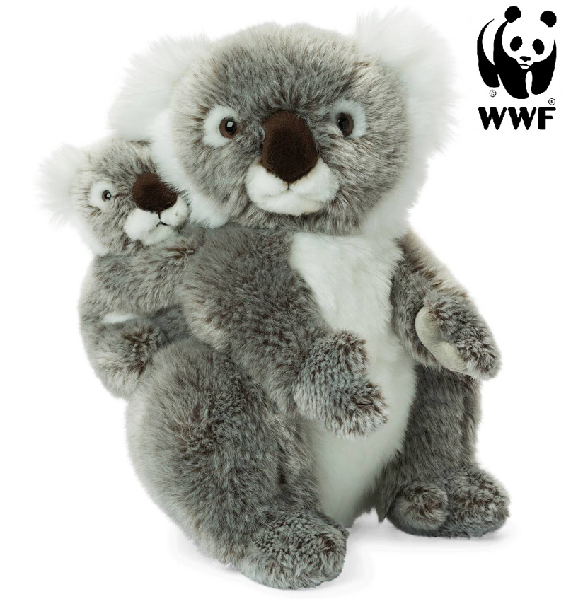 Koala med baby - WWF (Världsnaturfonden)