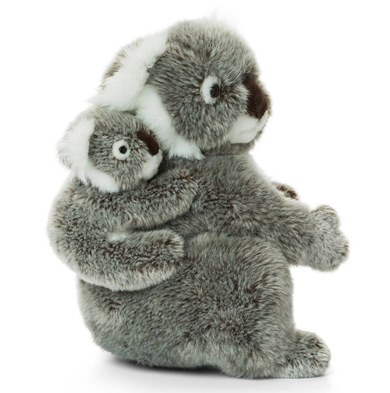 Koala med baby - WWF (Vrldsnaturfonden)