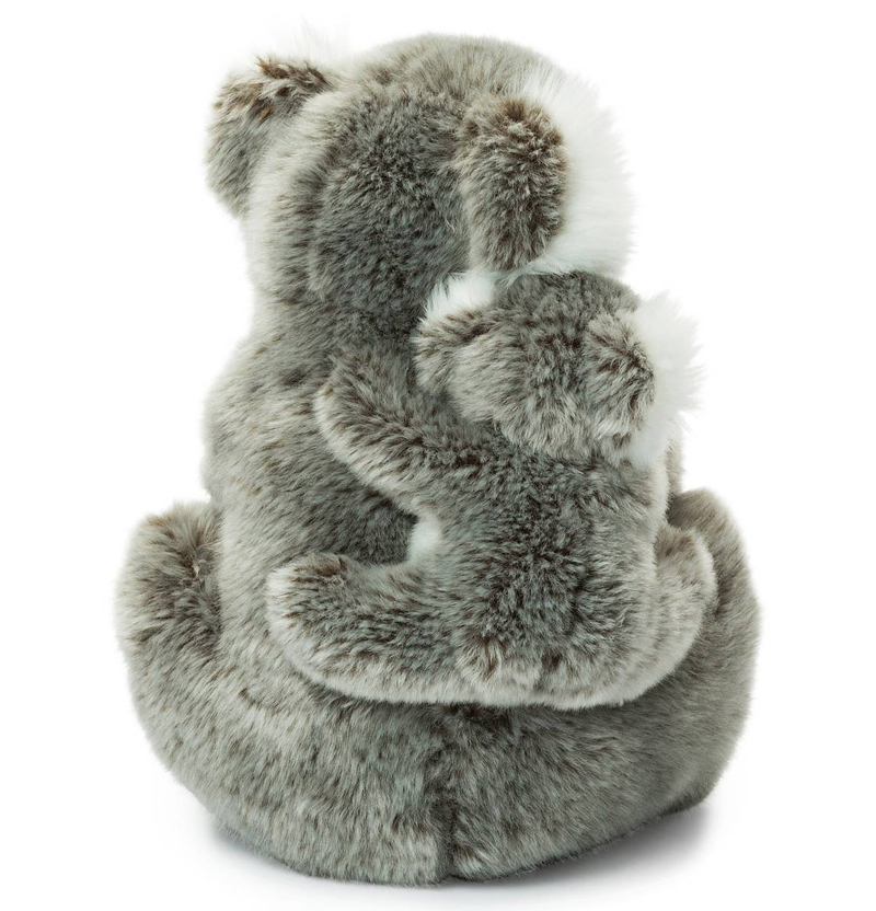 Koala med baby - WWF (Världsnaturfonden)