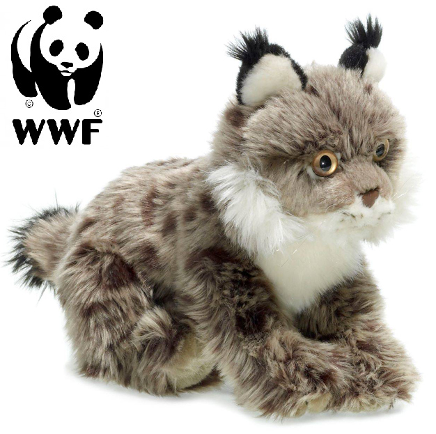 Lodjur - WWF (Världsnaturfonden)