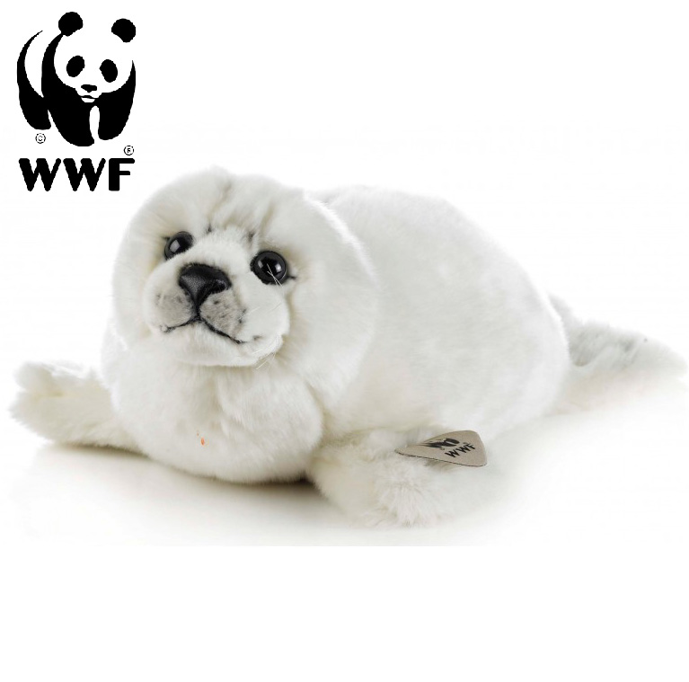 Säl - WWF (Världsnaturfonden)