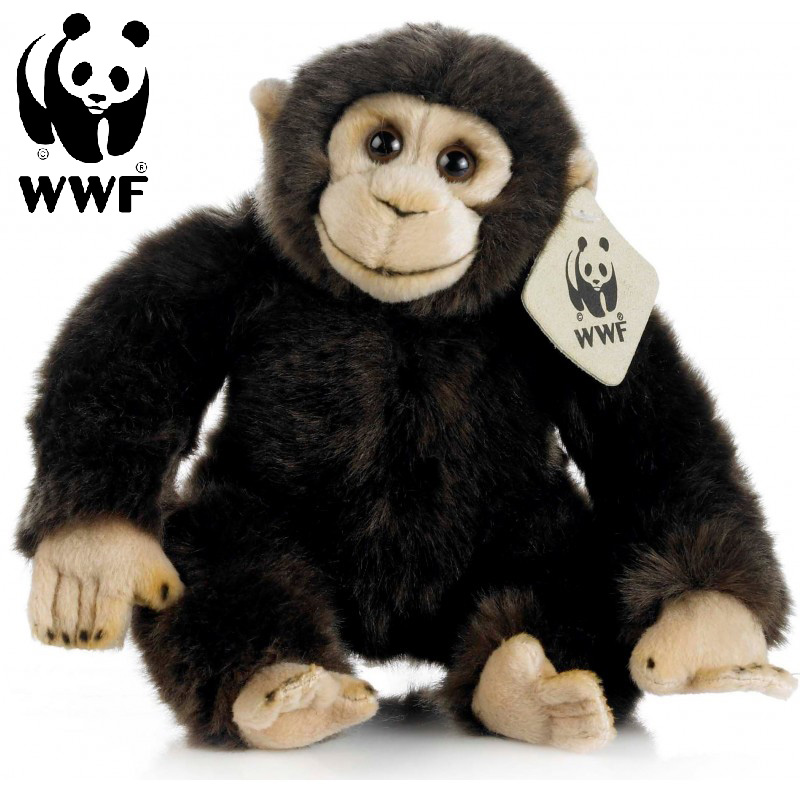 Schimpans - WWF (Vrldsnaturfonden)