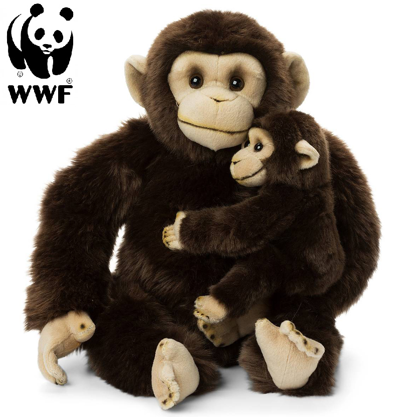 Schimpans med baby - WWF (Vrldsnaturfonden)