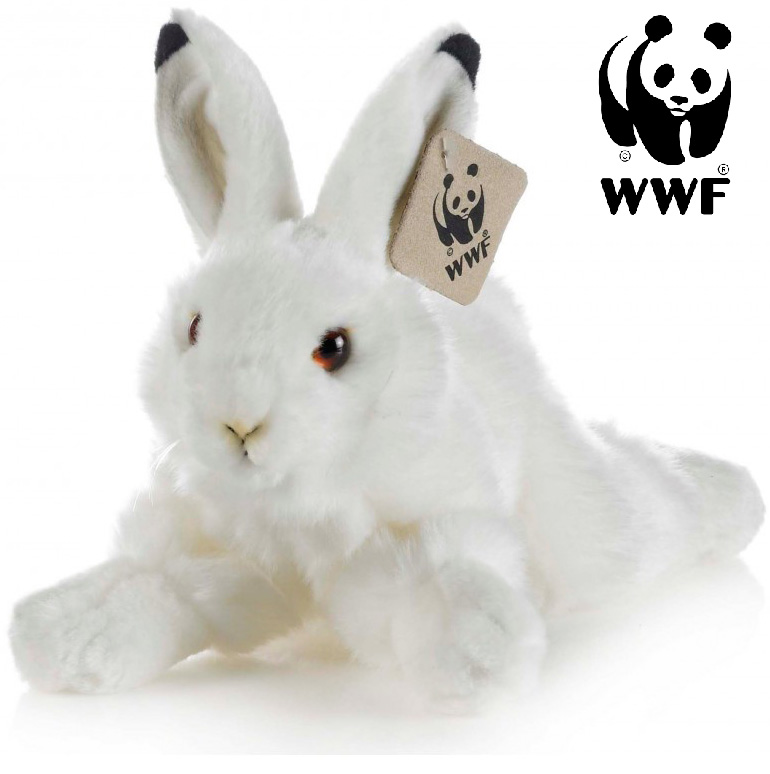 Vinterhare - WWF (Vrldsnaturfonden)